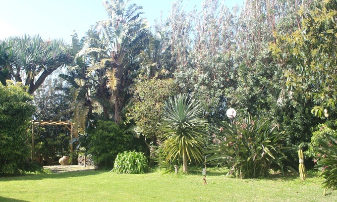 Ponta Delgada Cottage | Rustic house with garden overlooking the sea in the center of the island