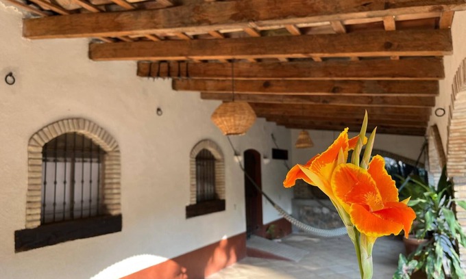 Santa Maria Tecomavaca Cottage | Rustic House in the Tehuacan-Cuicatlan Biosphere Reserve