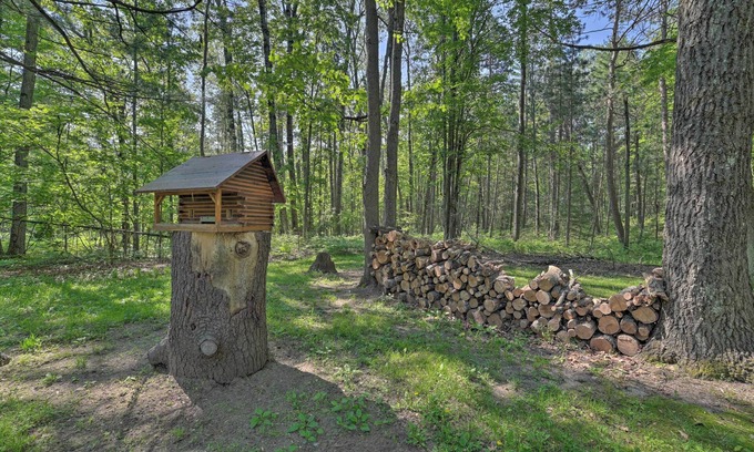 Mio Cabin | Rustic Wooded Retreat w/ Fire Pit, Near Trails!