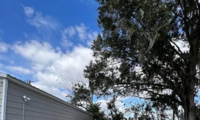 Ellenton RV Rental | Rv/camper site with all hookups