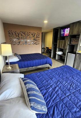 Ciudad Lopez Mateos Apartment | S07 DOBLE CAMA MATRIMONIAL Premium Suite Frente al TEC CEM con Cocineta WiFi Balcón Parking Terraza