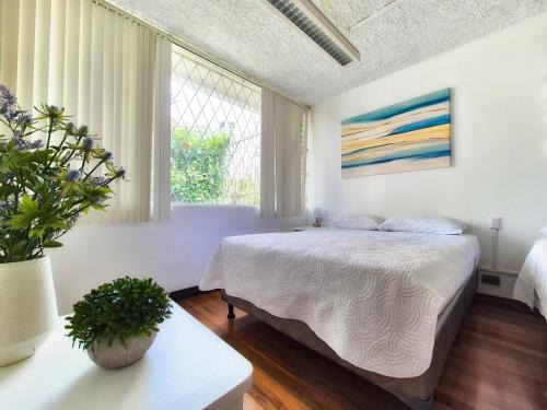 Mata Redonda Apartment | Sabana Studios