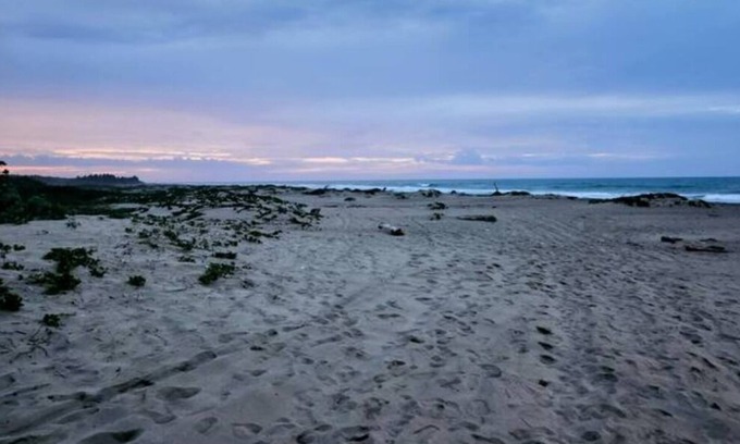 Los Brazos Apartment | Sabaneta - Hidden Luxury Apartment by the beach