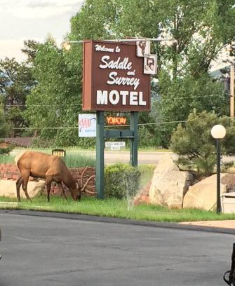 Estes Park Hotel | Saddle & Surrey Motel
