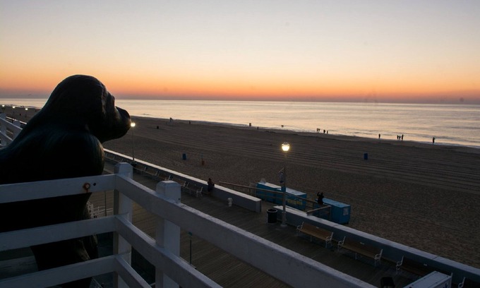 Ocean City Hotel | Safari Hotel Boardwalk
