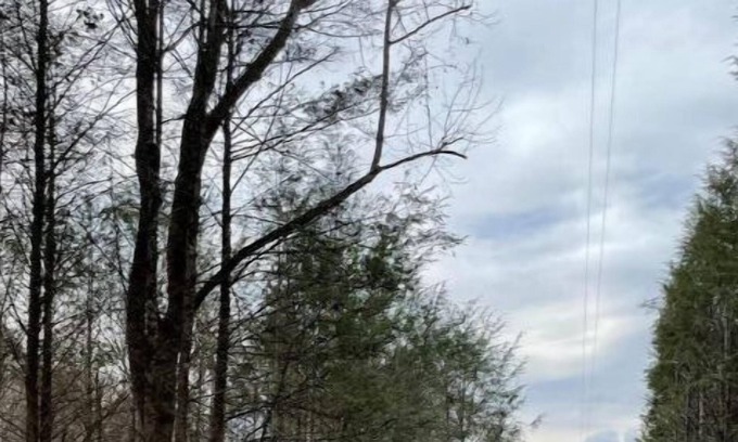 Roan Mountain House | Safe Haven Farm RV Spot #2
