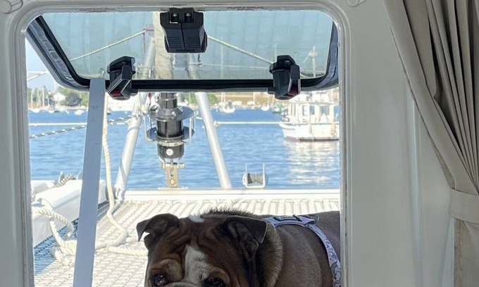 Palm Beach - West Palm Beach Boat Rental | Sailboat In Downtown West Palm Beach