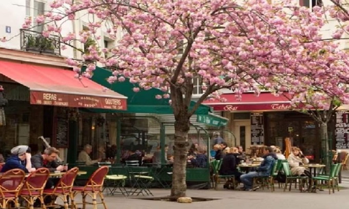 Saint-Mande Apartment | SAINT MANDE-A BEAUTIFUL PARISIAN RETREAT