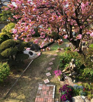 Minami House | Sakura house