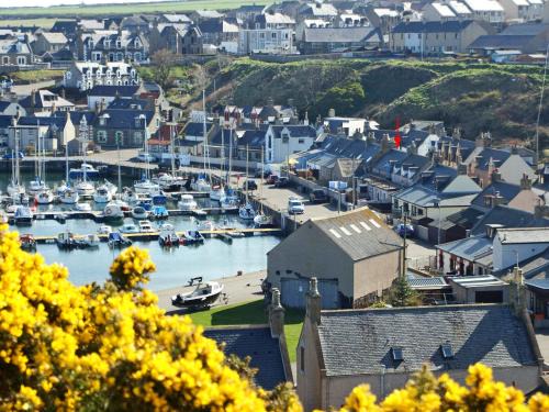 Buckie House | Salty Dog