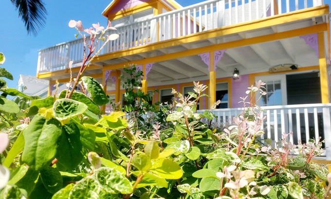 Spanish Wells House | Salty Dog - Harbour views, "Old Town" Spanish Wells, Fully & Newly remodeled.