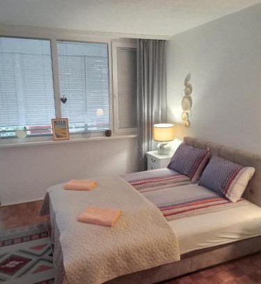 Cacak Apartment | Saluki 032