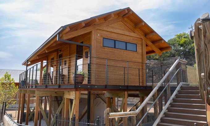 San Antonio Cabin | San Antonio Zoo - Spekboom Giraffe Lodge