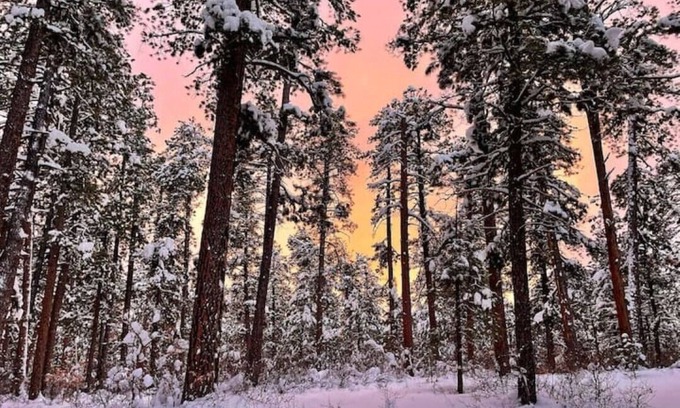 Pagosa Highlands House | San Juan Grand Retreat!