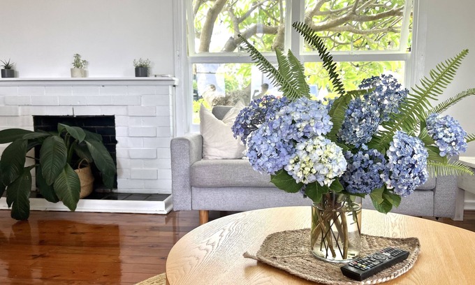 Bulli House | Sandon Beach Cottage-Beach, escarpment and a half pipe. Pet friendly!