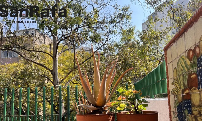Polanco Apartment | SanRafa Polanco I