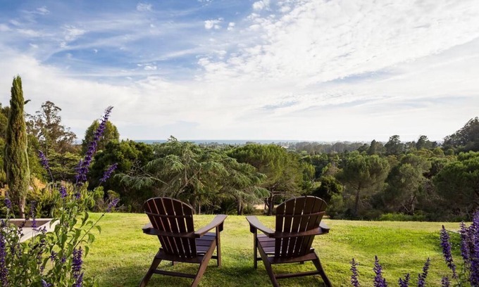 Live Oak Hotel | Santa Cruz Sanctuary: Room with Forrest View & Private Patio