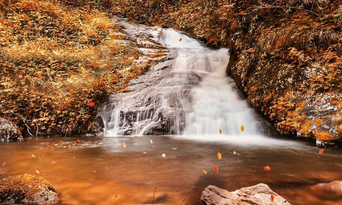 Sylva Cabin | Scenic Falls Cabin - Luxury Retreat w/Private 65’ Waterfall & Natural Pool