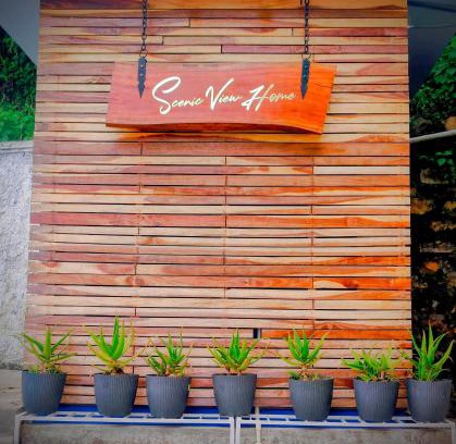 Shillong House | Scenic View Homestay