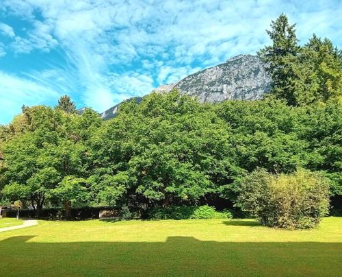 Bad Reichenhall Apartment | Scheer Regina