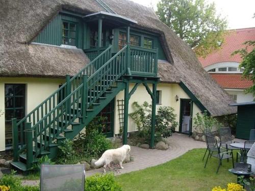 Middelhagen Apartment | Schilfdachvilla Zeesboothaus WE308