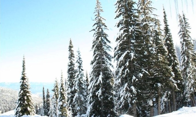 Sandpoint Condo | Schweitzer Mtn Ski In Ski Out Condo Short Walk to the Village