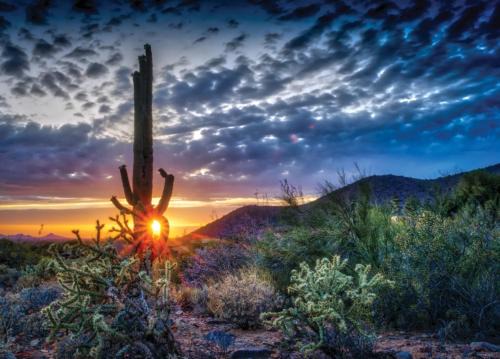 South Scottsdale Apartment | Scottsdale's premium short term getaway, Fully furnished 1 bedroom homes, FREE Golf, cable, utilities, Wi-Fi, parking, pool, and bike trails- Unit 112 apts