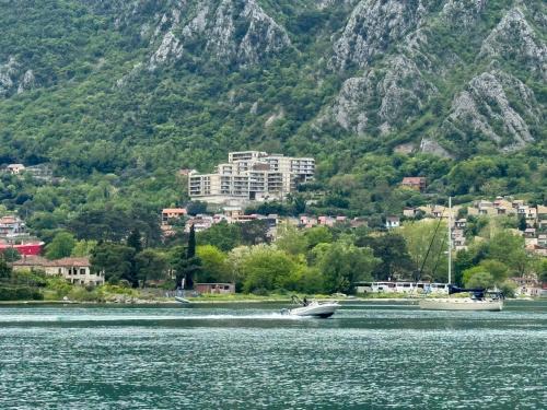 Skaljari Apartment | Sea Glass Kotor Bay