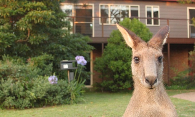 Erowal Bay House | Sec57 - Jan's Retreat by Experience Jervis Bay