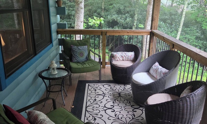 Asheville Cabin | Secluded cabin on 2 wooded acres in charming Clyde