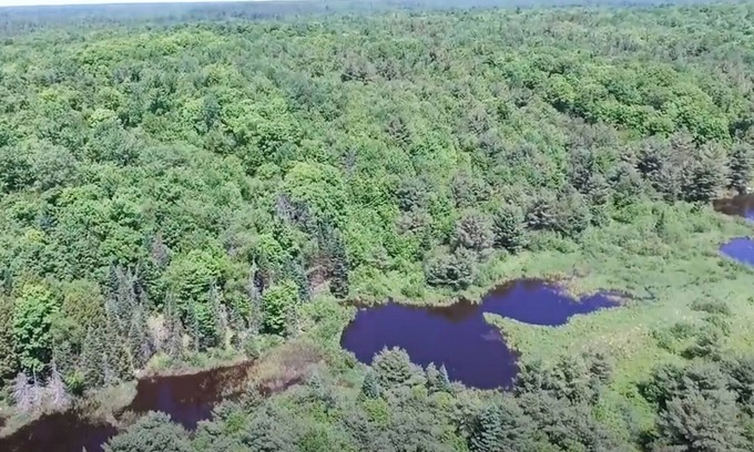 Bracebridge Cottage | Secluded Cottage | Sauna & Hot Tub on 44 Acres | Pets Welcome