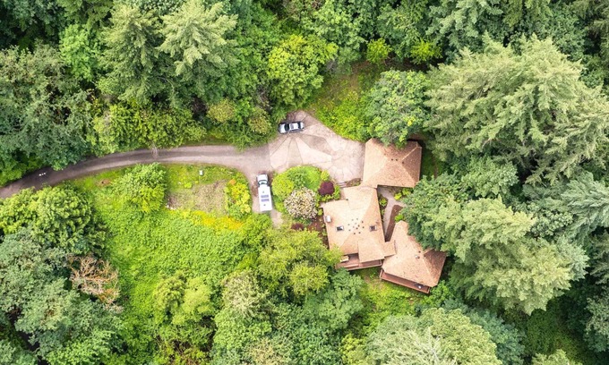 Beaverton Cabin | Secluded Fall Forest Getaway | Fire Pit, BBQ & Forest Views