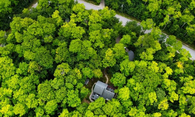 Sister Bay House | Secluded Scandanavian Cabin In Sister Bay