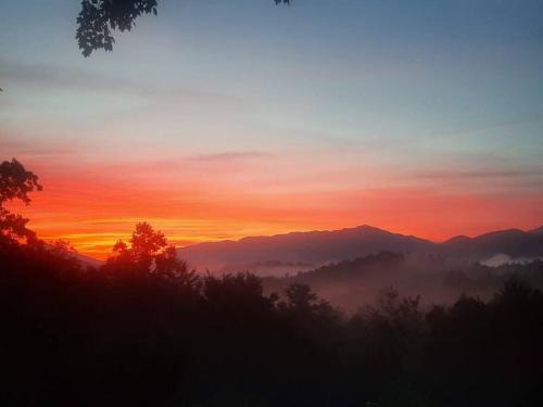 Andrews House | Secluded Sunrise