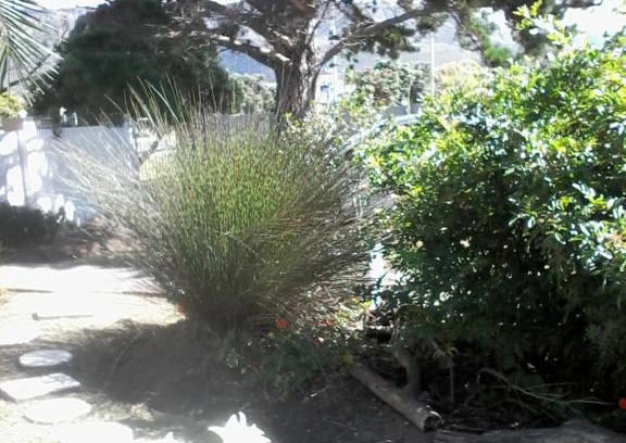 Sandbaai House | Self Catering Unit 6, Sandbaai