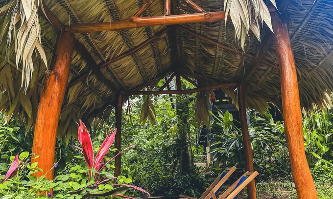 Cahuita Hotel | Selva Madre Eco Sanctuary