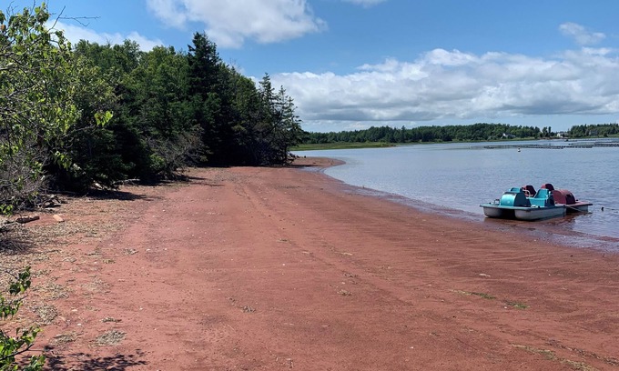 Prince County Cottage | Semi-private beach, huge screened deck, woods on fenced property