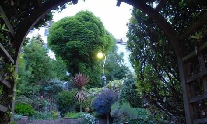 Hastings Bed & Breakfast | Senlac Guesthouse
