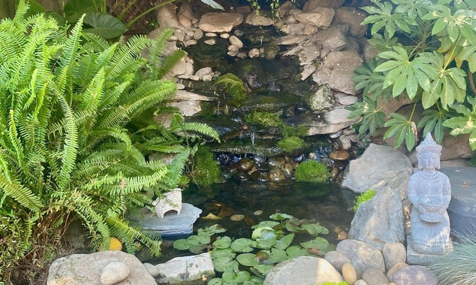 Visalia House | Seq Parks-hot Tub Fire Pit Koi Pond Outdoor Kitch