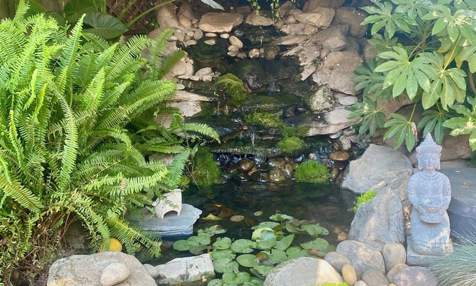 Visalia House | Sequoia Parks Coast Wineries Skiing-Enjoy Hot Tub Firepit Outdoor Kitchen