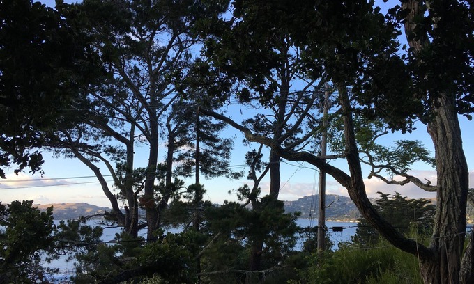 Sausalito Apartment | Serene Sausalito One-Bedroom In-law unit 20 minutes from San Francisco