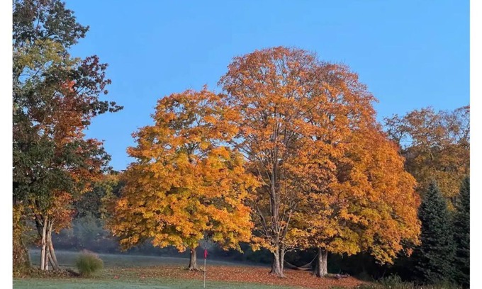 Guilford House | Serene, spacious, pets welcome!