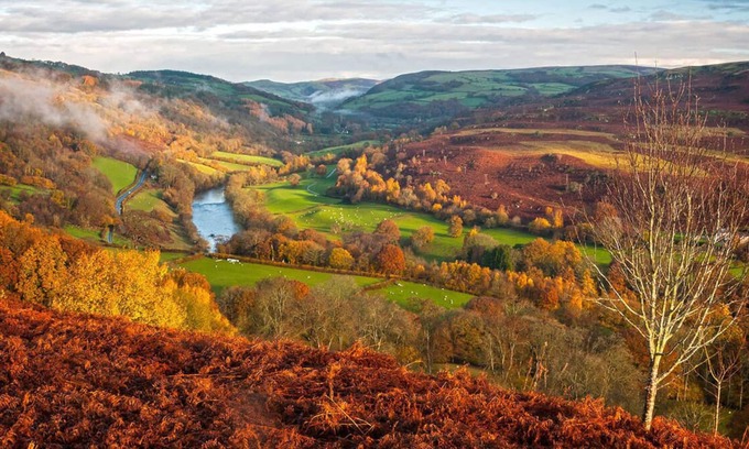 Builth Wells Ski Chalet | Sgrech y coed - Jay