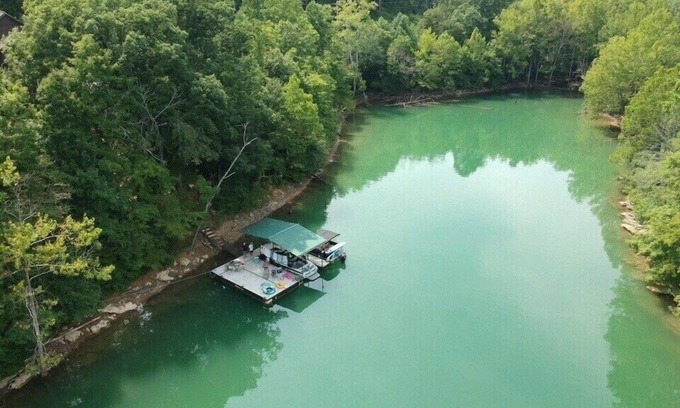 Flat Hollow Marina Cabin | Shady Grove' kayaker's paradise, private dock & safe swimming, gentle slope