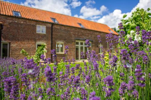 Lincoln House | Shakespeare Cottage