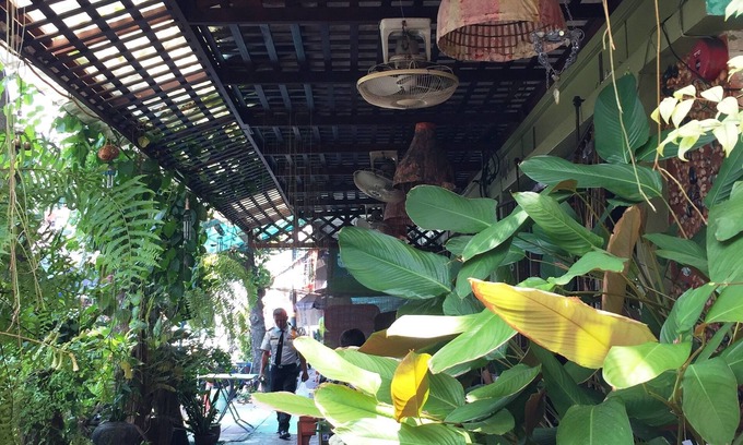 Wachira Phayaban Hotel | Shanti Lodge Bangkok