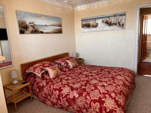Newquay House | Shazzamm
