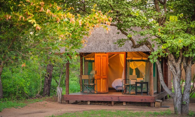 Thorny Bush Game Reserve Other | Shindzela Tented Safari Camp