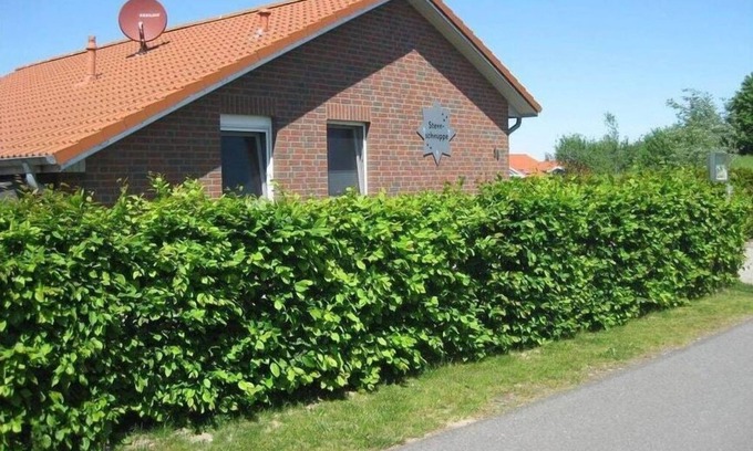 Norderteil Boat Rental | Shooting Star Comfortable holiday residence