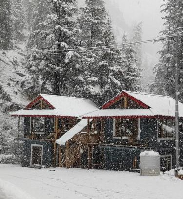 Mohal Resort | Shreya cozy hut